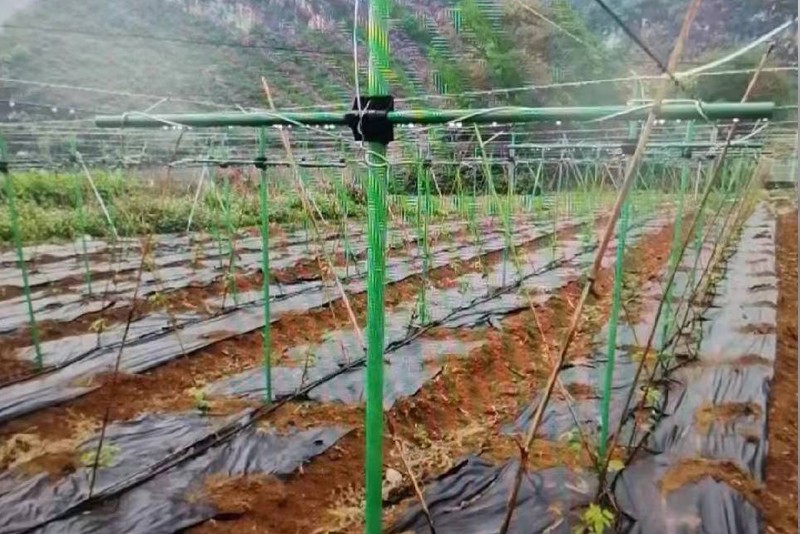 产品应用实景4